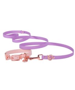 Valgray Splash Proof Dog Collar & Leash Set, Blush & Lilac, Extra Small