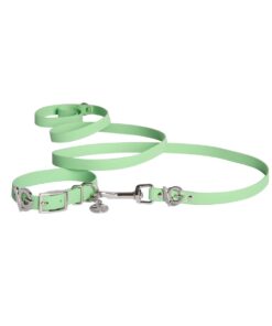 Valgray Splash Proof Dog Collar & Leash Set, Pistachio & Silver, Small