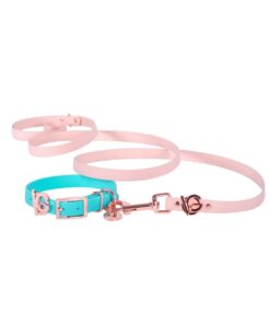 Valgray Splash Proof Dog Collar & Leash Set, Turquoise & Blush, Small