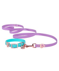 Valgray Splash Proof Dog Collar & Leash Set, Turquoise & Lilac, Small