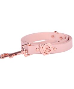 Valgray Splash Proof Dog Leash, Blush & Rose Gold - XS-S