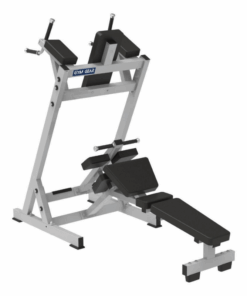 Vertical Knee Raise & Abdominal Bench & Dip Station Combo