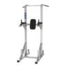 Vertical Knee Raise / Pull up / Push up & Dip Combo Machine