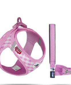 Vest Harness Curli Clasp Air-Mesh & Leash - Pink - M