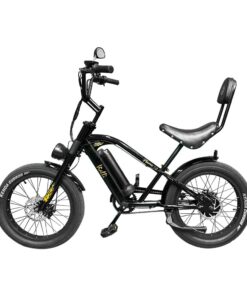Vialli - Flame 1.0 20" E-Bike