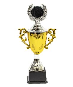 Victor Series Cup Trophy with Base - Small - Silver & Gold