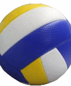 Volleyball Standard Size - Blue, White