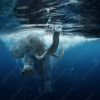 Wall Art Canvas - Elephant Swimming