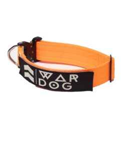 War Dog Metal Buckle Dog Collar Orange - 38mm - L