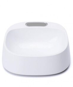 White Intelligent Antibacterial Pet Bowl For Dog Or Cat