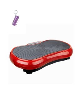 Whole Body Vibration Fitness Machine and A Keyholder
