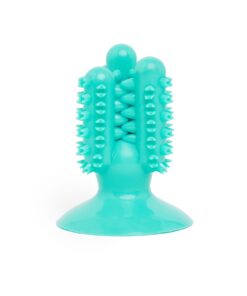 Wiggle Dental Chew Toy