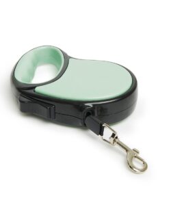 Wiggle - Retractable lead - Mint