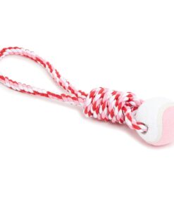 Wiggle Rope Toy with Ball - Pink