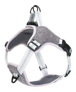 WigWagga - Â Grey Front Clip Dog Leash