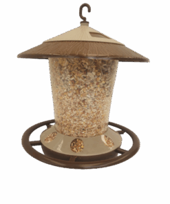 Wild Bird Feeder & 750g Seed