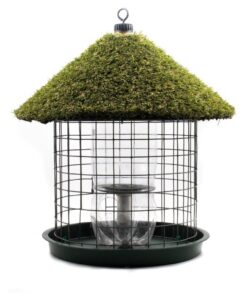 Wild Bird Seed Feeder