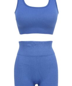 Women Seamless Workout Set Ribbed Crop Tank High Waist Short Yoga Outfits