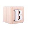 Wooden Alphabet Blocks - B