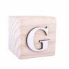 Wooden Alphabet Blocks(G)