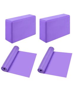 Yoga Brick Set - Purple