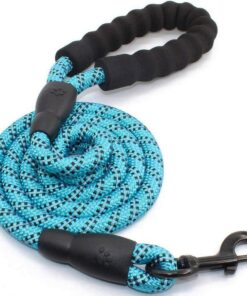 Yowie â Dog Leash / Lead â Heavy Duty, 1.8M Long, Padded Handle (Blue)