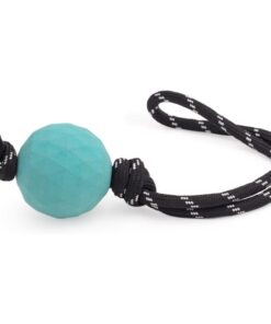 ZippyPaws ZippyTuff Waggle Ball RopeTugz Rope Ball Dog Toy - Blue
