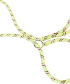 Zolux Nylon Rope Choke Leash - Green